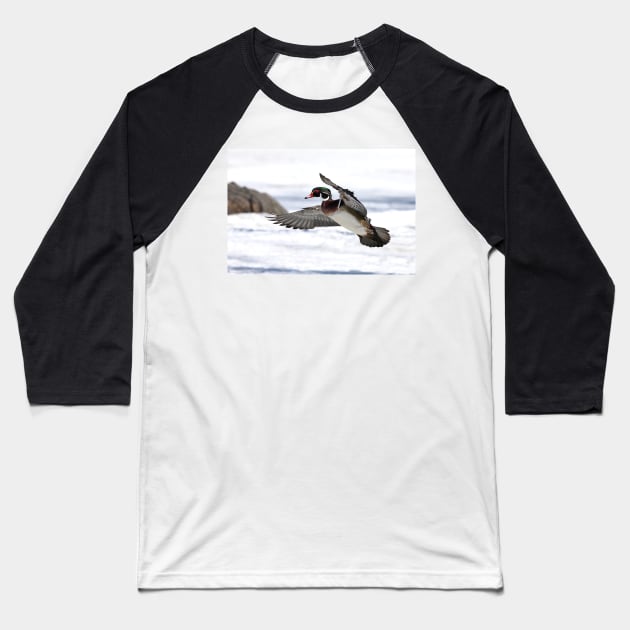 By the frozen shoreline - Wood Duck Baseball T-Shirt by Jim Cumming